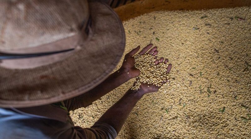 Livro aborda produção sustentável em meio à mudança climática