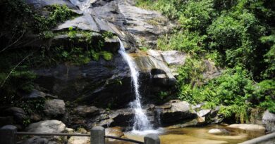Parque Nacional da Tijuca promove feira de ciências com foco em peixes