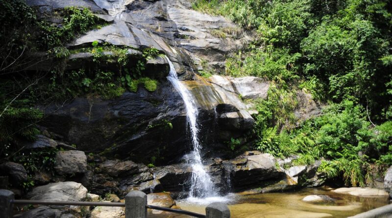 Parque Nacional da Tijuca promove feira de ciências com foco em peixes