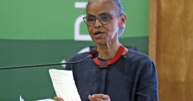 Plano brasileiro lançado na COP30 integra governança climática no país