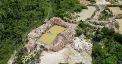 Presença de facções criminosas na Amazônia cresce 32% em um ano