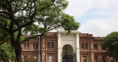 Programação celebra aniversários do Parque da Luz e Pinacoteca em SP