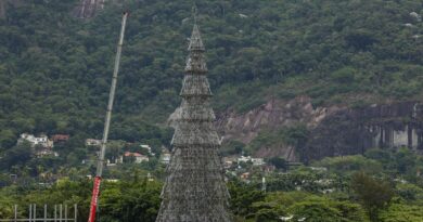 Rio se prepara para inaugurar árvore de natal da lagoa