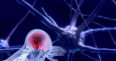 Unesco faz recomendação inédita para uso ético da neurotecnologia