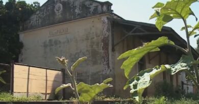 Agrocultura destaca antiga fazenda considerada maior produtora de café do mundo