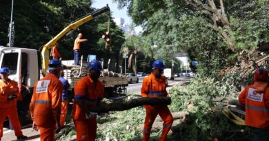 Após ventania, São Paulo tem 1,5 milhão de clientes sem energia