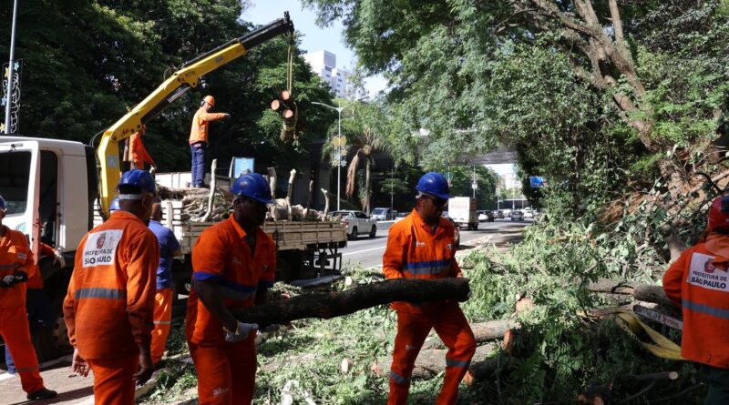 Após ventania, São Paulo tem 1,5 milhão de clientes sem energia