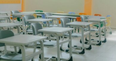 Boas Práticas destaca ciclos de aprendizagem da rede municipal de SP neste domingo (28)