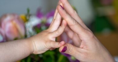 CCJ da Câmara aprova fim da lei de alienação parental