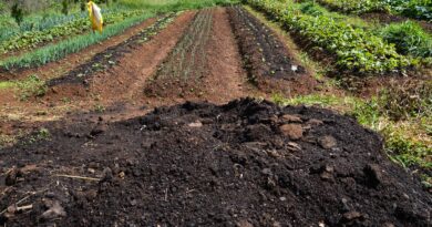 CMN amplia socorro a produtores afetados pelo clima