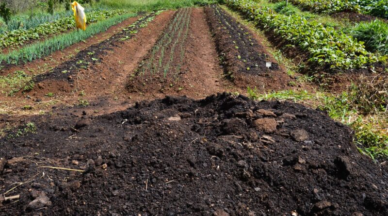 CMN amplia socorro a produtores afetados pelo clima