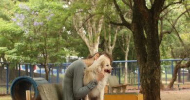 Cade aprova fusão entre Petz e Cobasi com restrições