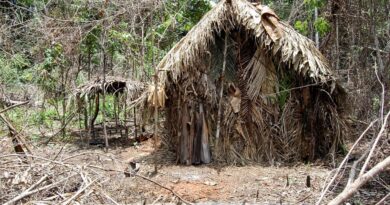 DPU afirma que consulta prévia não se aplica a indígenas isolados
