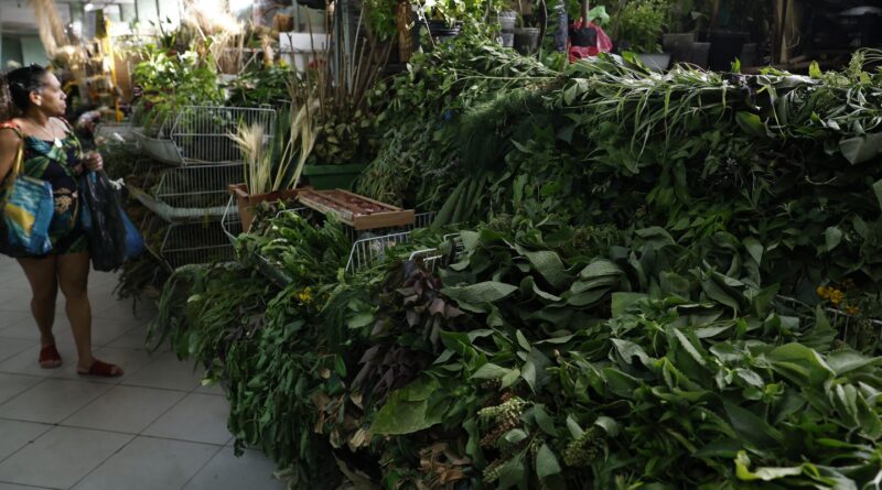 Erveiras se atualizam para atender a novas tradições de religiões afro