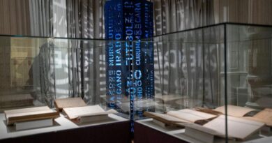 Exposição em Brasília celebra 50 anos do Dicionário Aurélio