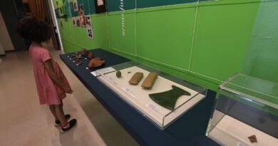 Exposição mostra achados arqueológicos sobre origens da cidade de SP