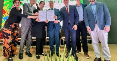 Fundo Amazônia: cadeias produtivas de florestas terão R$ 96,6 milhões