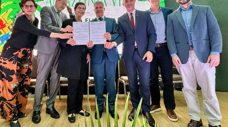 Fundo Amazônia: cadeias produtivas de florestas terão R$ 96,6 milhões