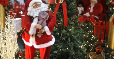 Hoje é Dia: Natal, solstício de verão e Cristina Buarque são destaques