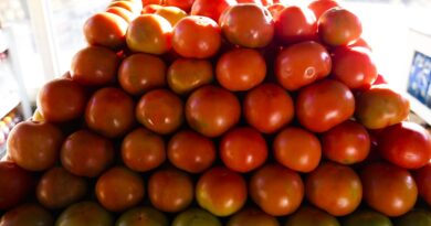 Inflação da comida em casa cai 0,2% em novembro, sexto recuo seguido