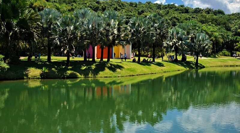 Museu Inhotim, em Minas Gerais, tem recorde de visitação em 2025
