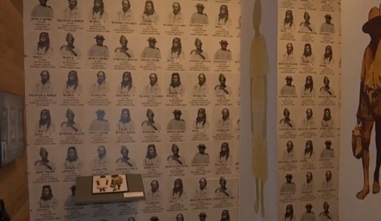 Museu da Imigração inaugura mostra tecnológica e artística com relatos reais de migrantes