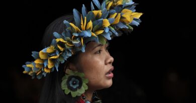 O ano de 2025 pelas lentes da Agência Brasil