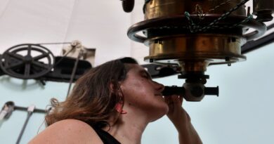 Produção científica brasileira volta a crescer em 2024