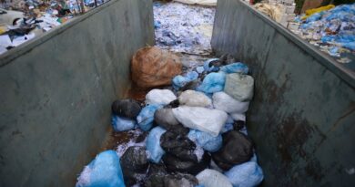 Produção de resíduos cresce em 2024; destinação adequada melhora