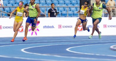 Retrospectiva: atletismo e judô são destaques na temporada paralímpica