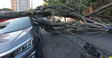 São Paulo e capitais do Sul terão ventos moderados nesta quinta-feira