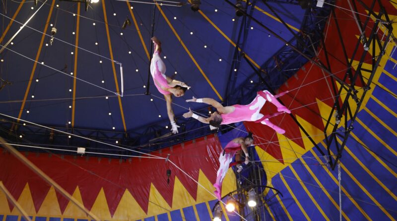 A cada R$ 1 investido pela Rouanet, R$ 7,59 retornam, diz estudo