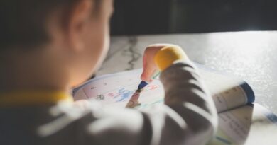 Boas Práticas Escolares relembra os melhores momentos de 2025