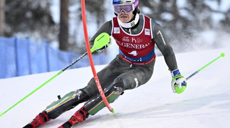 COB anuncia os 14 convocados para a Olimpíada de Inverno Milão-Cortina