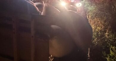 Como rastro deixado por ladrões levou a polícia a achar 3 toneladas de pimenta roubada em São Mateus