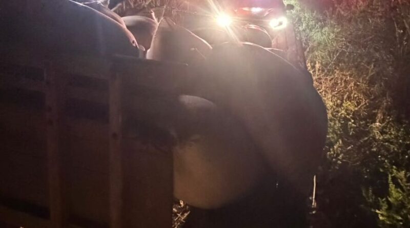 Como rastro deixado por ladrões levou a polícia a achar 3 toneladas de pimenta roubada em São Mateus