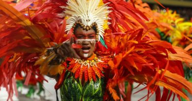 Conheça os enredos das escolas do Grupo Especial do Rio em 2026