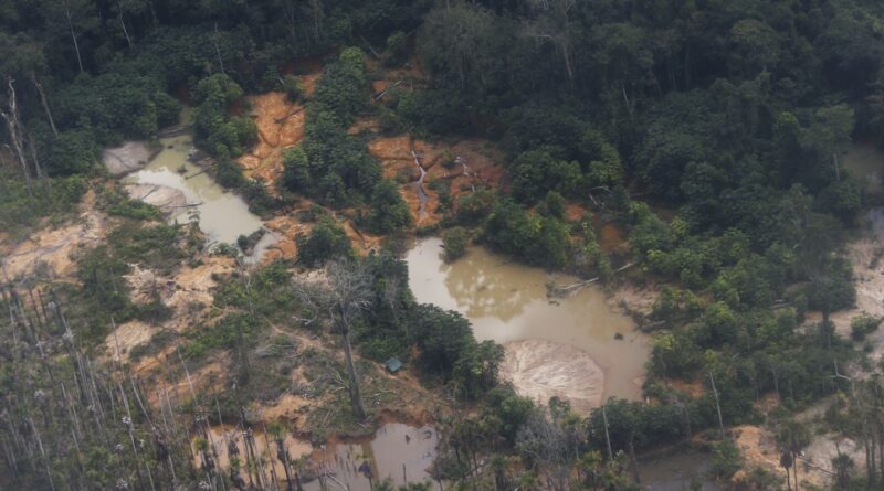 Edital prorroga inscrições para restauração em terras indígenas