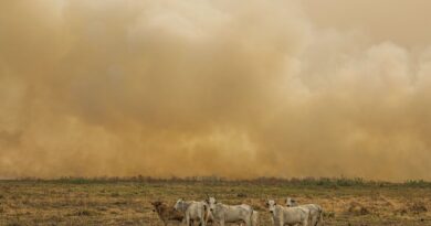 Janeiro tem número de focos de calor duas vezes maior que a média