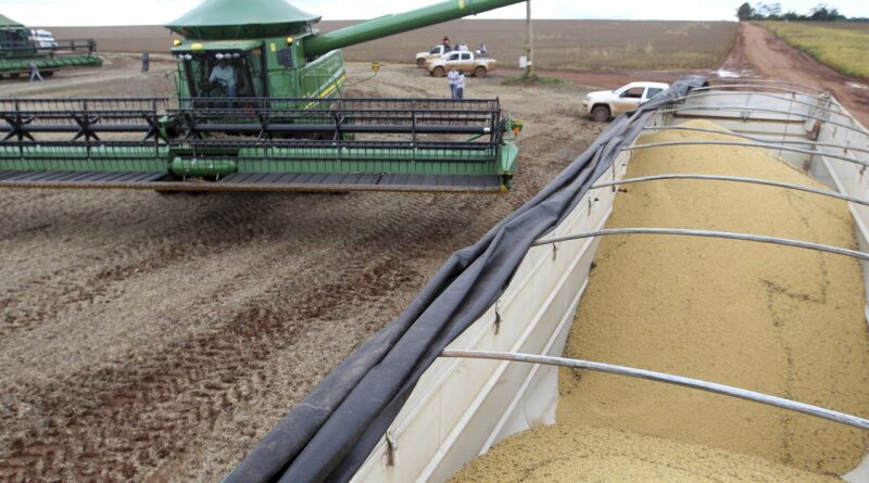 Lei que pune participantes da Moratória da Soja volta a valer em MT