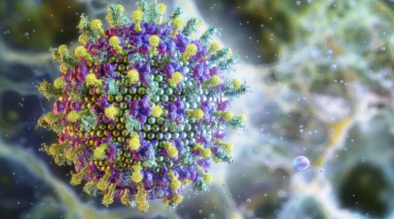 Nipah: saiba mais sobre o vírus que preocupa a Ásia