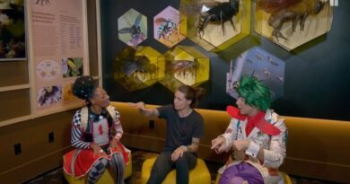 Quintal da Cultura embarca em uma aventura no Planeta Inseto