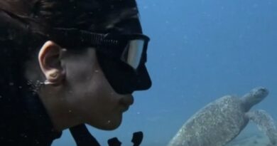 Repórter Eco deste domingo (11) traz paisagens registradas pela fotógrada e bióloga ﻿Maysa Santoro