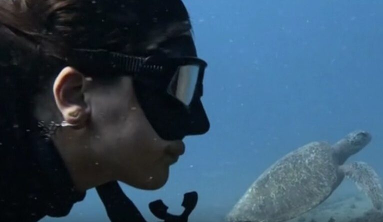 Repórter Eco deste domingo (11) traz paisagens registradas pela fotógrada e bióloga ﻿Maysa Santoro