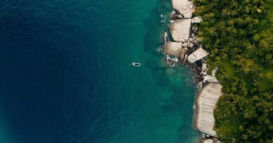 TV Brasil exibe documentário com iniciativas de preservação da costa