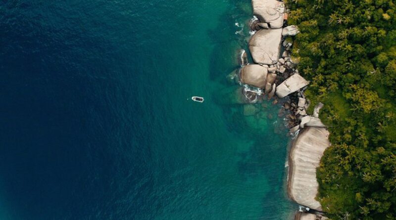 TV Brasil exibe documentário com iniciativas de preservação da costa