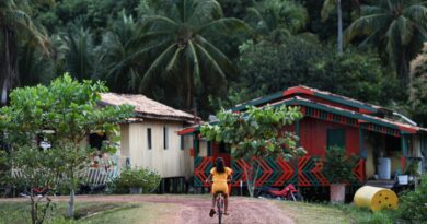 Amazônia Legal concentra quase metade dos conflitos de terra no Brasil