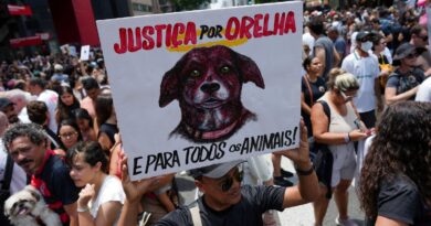 Caso Orelha: polícia pede internação de adolescente envolvido no crime