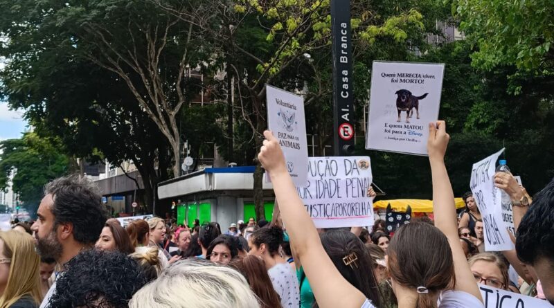 Centenas de pessoas em São Paulo pedem justiça pelo cão Orelha
