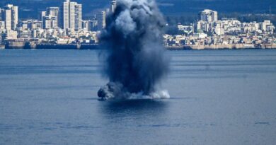 China, África e países do Golfo Pérsico condenam ataques ao Irã